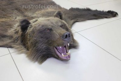 Ковер из шкуры медведя 170 см